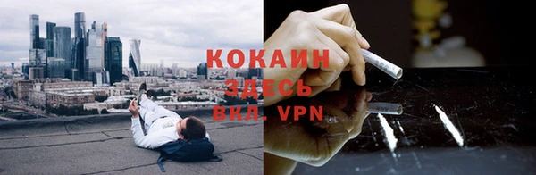 ГАЛЛЮЦИНОГЕННЫЕ ГРИБЫ Баксан
