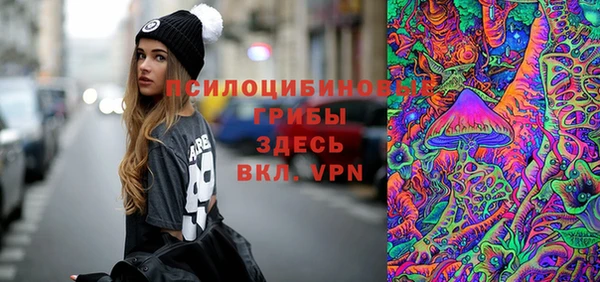 ПСИЛОЦИБИНОВЫЕ ГРИБЫ Балабаново