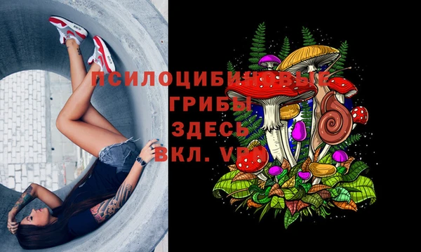 ПСИЛОЦИБИНОВЫЕ ГРИБЫ Балабаново