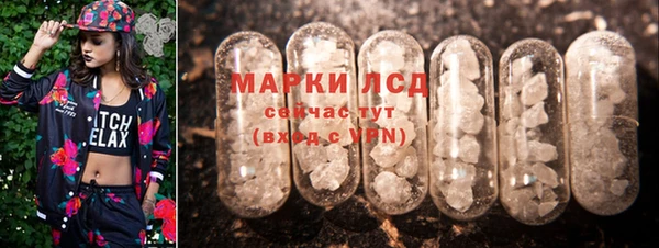 ПСИЛОЦИБИНОВЫЕ ГРИБЫ Балабаново