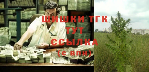 амф Балахна