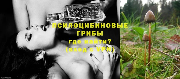 ПСИЛОЦИБИНОВЫЕ ГРИБЫ Балабаново