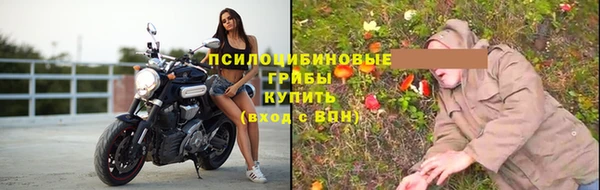 амф Балахна