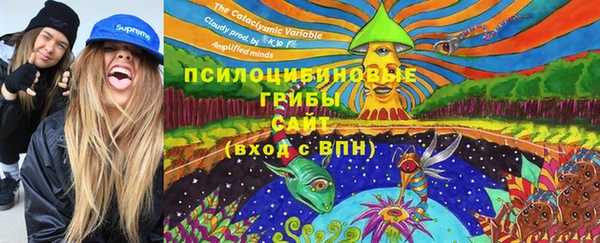 ГАЛЛЮЦИНОГЕННЫЕ ГРИБЫ Баксан