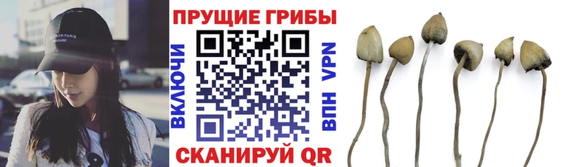 купить закладку  kraken маркетплейс  Псилоцибиновые грибы прущие грибы  Пролетарск 