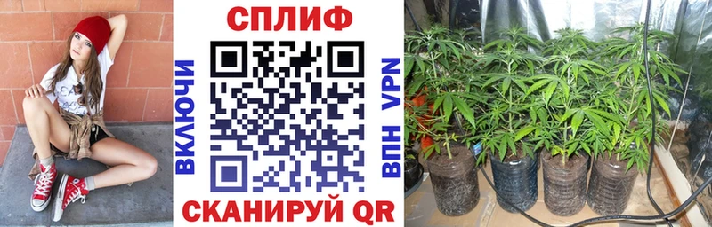 что такое сайты даркнета как зайти Бошки Шишки Amnesia Пролетарск
